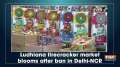 Ludhiana firecracker market blooms after ban in Delhi-NCR