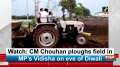 Watch: CM Chouhan ploughs field in MP's Vidisha on eve of Diwali