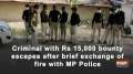 Criminal with Rs 15,000 bounty escapes after brief exchange of fire with MP Police