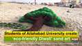 Students of Allahabad University create 'eco-friendly Diwali' sand art