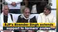BJP's Birender Singh extends support to farmers'protest