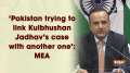 'Pakistan trying to link Kulbhushan Jadhav's case with another one': MEA