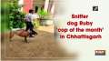 Sniffer dog Ruby 'cop of the month' in Chhattisgarh