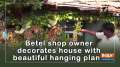 Betel shop owner decorates house with beautiful hanging plants