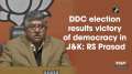 DDC election results victory of democracy in JandK: RS Prasad