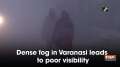 Dense fog in Varanasi leads to poor visibility