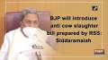 BJP will introduce anti cow slaughter bill prepared by RSS: Siddaramaiah