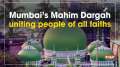 Mumbai's Mahim Dargah uniting people of all faiths