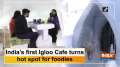 India's first Igloo Cafe turns hot spot for foodies