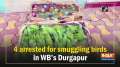 4 arrested for smuggling birds in WB's Durgapur