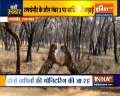 VIDEO:  Fight between tigress Riddhi and Siddhi in  Rajasthan's Ranthambore