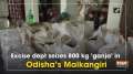 Excise dept seizes 800 kg 'ganja' in Odisha's Malkangiri