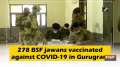 278 BSF jawans vaccinated against COVID-19 in Gurugram