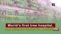World's first tree hospital, ambulance starts in Amritsar