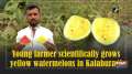 Young farmer scientifically grows yellow watermelons in Kalaburagi