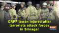 CRPF jawan injured after terrorists attack forces in Srinagar