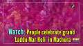 Watch: People celebrate grand 'Laddu Mar Holi' in Mathura