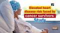 Elevated heart disease risk faced by cancer survivors: Study