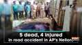 5 dead, 4 injured in road accident in AP's Nellore