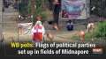 WB polls: Flags of political parties set up in fields of Midnapore