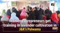 Women entrepreneurs get training in lavender cultivation in J&K's Pulwama