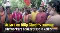 	Attack on Dilip Ghosh's convoy: BJP workers hold protest in Kolkata