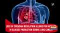 Loss of circadian regulation allows for increase in glucose production during lung cancer