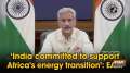 'India committed to support Africa's energy transition': EAM