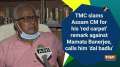 TMC slams Assam CM for his 'red carpet' remark against Mamata Banerjee, calls him 'dal badlu'