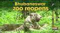 Bhubaneswar's Nandankanan Zoological Park reopens