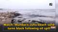 Watch: Mumbai's Juhu beach sand turns black following oil spill 