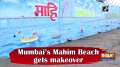 Mumbai's Mahim Beach gets makeover