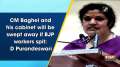 CM Baghel and his cabinet will be swept away if BJP workers spit: D Purandeswari
