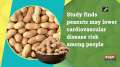 Study finds peanuts may lower cardiovascular disease risk among people	