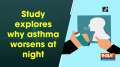 Study explores why asthma worsens at night