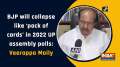 BJP will collapse like 'pack of cards' in 2022 UP assembly polls: Veerappa Moily