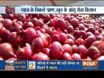 Onions plunge to Rs 1.50 in Maharashtra, farmers lose hope