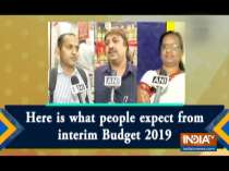 Here is what people expect from interim Budget 2019
