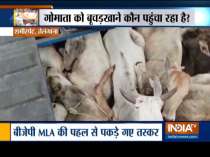 Cow slaughter house in Owaisi