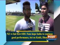 India vs New Zealand: Fans hope Kohli and Dhoni will drive India to victory in Napier