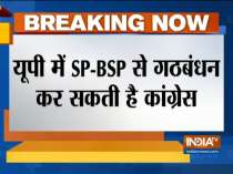 Congress may form alliance with SP-BSP ahead of UP Lok Sabha Polls