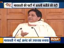 Mayawati appoints brother, nephew to top party posts, BSP to contest all future polls on its own