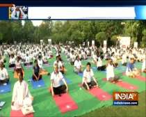 International Yoga Day 2019:Ravi Shankar Prasad and Piyush Goyal performs yoga in delhi