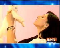 TV celebs showcase their love for pets
