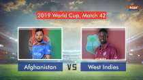 West Indies beat Afghanistan by 23 runs to end on winning note