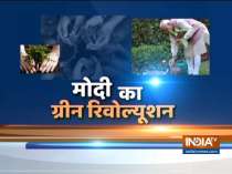 PM Modi to visit Varanasi on July 6, will launch plantation drive
