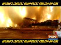 The Amazon rainforest is on fire, and visuals are really scary | Watch