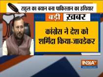 Rahul Gandhi should apologise to nation for his statement on Kashmir, says Prakash Javadekar