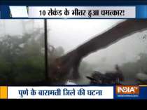 Heavy tree falls due to rain and strong wind in Baramati, Pune