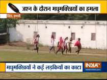 Madhya Pradesh: Bee bites girls during State Celebration Day program in Bhind